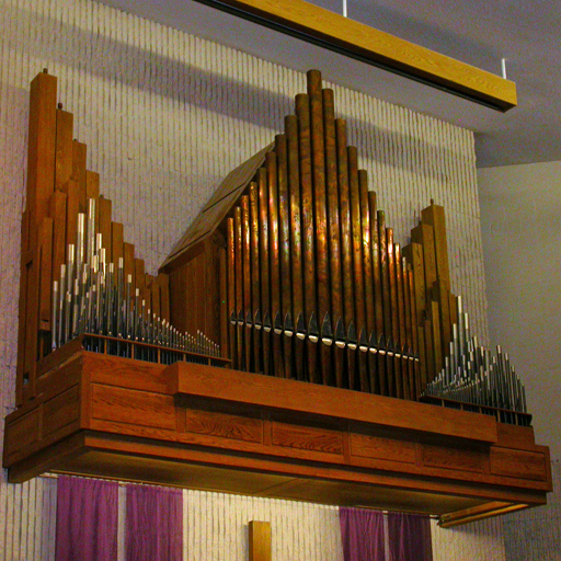 Box organ